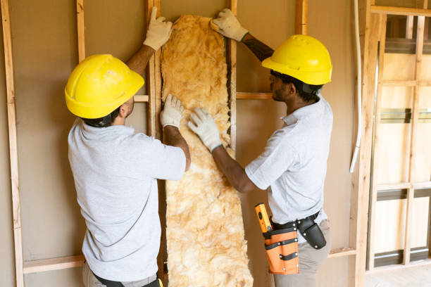 Best Insulation Replacement Services  in East Providence, RI